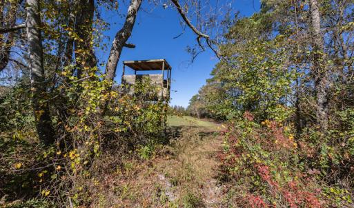 Photo #30 of SOLD property in Off Jimsie Hester Road , Whiteville , NC 26.4 acres