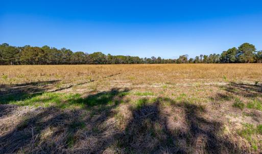 Photo #31 of Off Jimsie Hester Road , Whiteville , NC 26.4 acres
