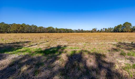 Photo #31 of SOLD property in Off Jimsie Hester Road , Whiteville , NC 26.4 acres