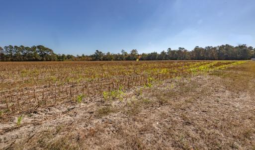 Photo #34 of SOLD property in Off Jimsie Hester Road , Whiteville , NC 26.4 acres