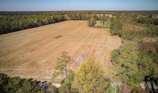 Photo #5 of SOLD property in Off Jimsie Hester Road , Whiteville , NC 26.4 acres