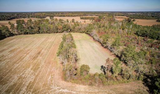 Photo #6 of SOLD property in Off Jimsie Hester Road , Whiteville , NC 26.4 acres