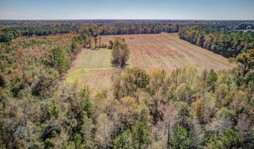 Photo #8 of SOLD property in Off Jimsie Hester Road , Whiteville , NC 26.4 acres