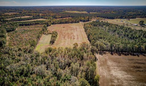 Photo #2 of SOLD property in Off Jimsie Hester Road , Whiteville , NC 26.4 acres