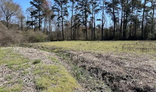 Photo #11 of SOLD property in Off Lightwood Bridge Road, Wallace, NC 64.3 acres