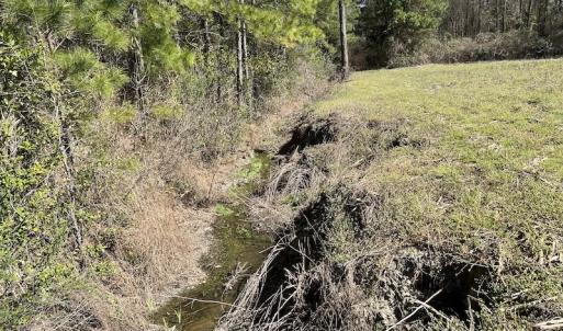 Photo #30 of SOLD property in Off Lightwood Bridge Road, Wallace, NC 64.3 acres