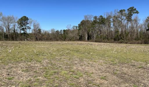 Photo #7 of SOLD property in Off Lightwood Bridge Road, Wallace, NC 64.3 acres