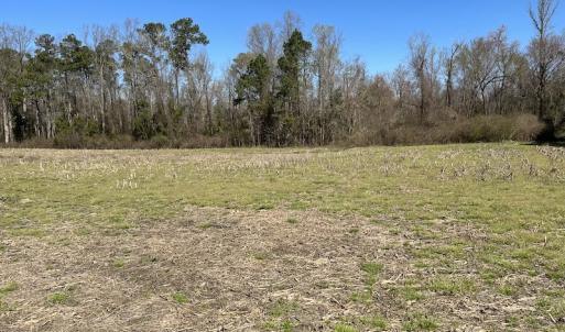 Photo #8 of SOLD property in Off Lightwood Bridge Road, Wallace, NC 64.3 acres