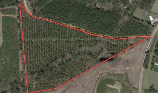 Photo #1 of SOLD property in Off Mat Nelson Road , Littleton, NC 25.0 acres