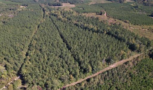 Photo #9 of Off Mat Nelson Road , Littleton, NC 25.0 acres
