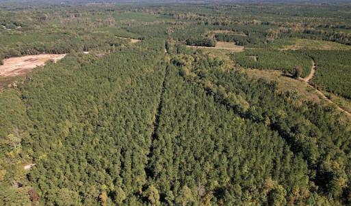 Photo #10 of Off Mat Nelson Road , Littleton, NC 25.0 acres