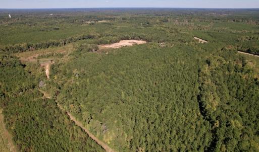 Photo #11 of Off Mat Nelson Road , Littleton, NC 25.0 acres