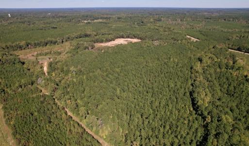 Photo #11 of SOLD property in Off Mat Nelson Road , Littleton, NC 25.0 acres