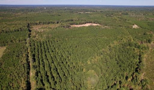 Photo #12 of SOLD property in Off Mat Nelson Road , Littleton, NC 25.0 acres