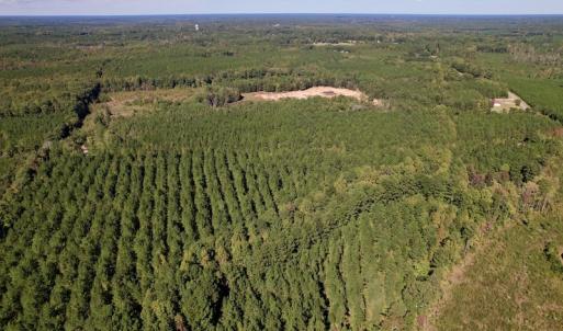 Photo #13 of Off Mat Nelson Road , Littleton, NC 25.0 acres