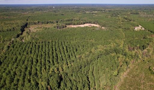 Photo #13 of SOLD property in Off Mat Nelson Road , Littleton, NC 25.0 acres