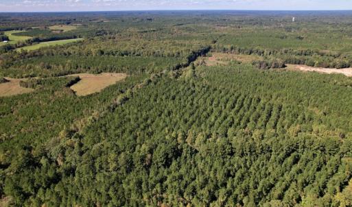 Photo #14 of Off Mat Nelson Road , Littleton, NC 25.0 acres