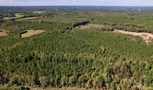 Photo #16 of SOLD property in Off Mat Nelson Road , Littleton, NC 25.0 acres