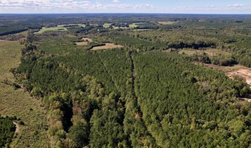 Photo #17 of Off Mat Nelson Road , Littleton, NC 25.0 acres
