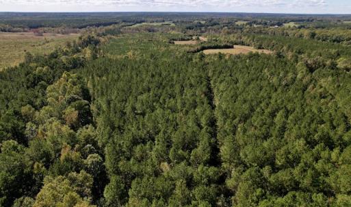 Photo #18 of Off Mat Nelson Road , Littleton, NC 25.0 acres