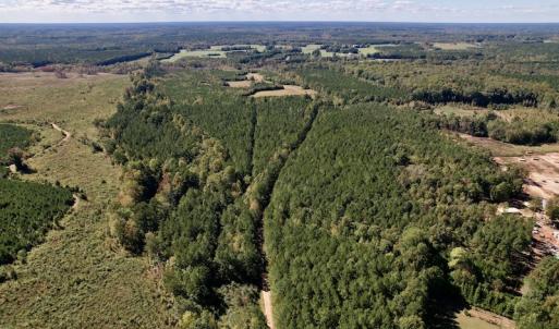 Photo #2 of Off Mat Nelson Road , Littleton, NC 25.0 acres
