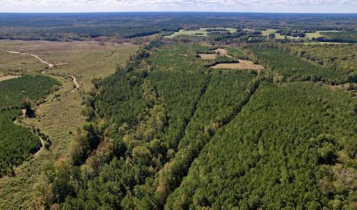Photo #3 of Off Mat Nelson Road , Littleton, NC 25.0 acres