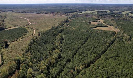 Photo #4 of Off Mat Nelson Road , Littleton, NC 25.0 acres
