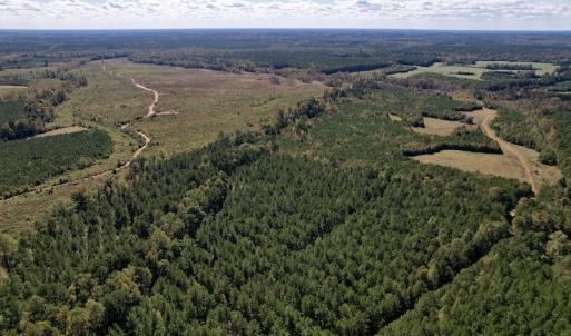 Photo #5 of Off Mat Nelson Road , Littleton, NC 25.0 acres