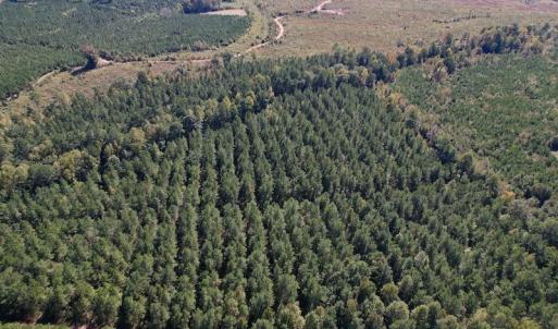 Photo #7 of Off Mat Nelson Road , Littleton, NC 25.0 acres