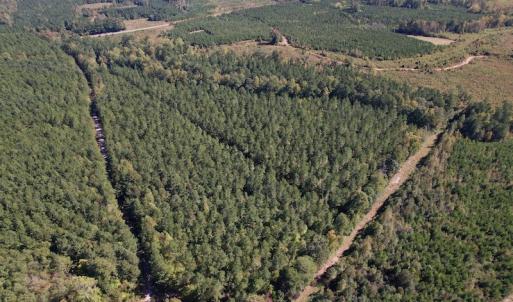Photo #8 of Off Mat Nelson Road , Littleton, NC 25.0 acres