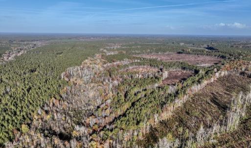 Photo #10 of SOLD property in Off Tuscarora Road, Hollister, NC 290.0 acres