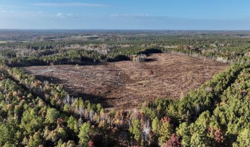 Photo #12 of SOLD property in Off Tuscarora Road, Hollister, NC 290.0 acres