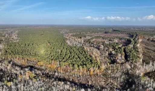Photo #15 of SOLD property in Off Tuscarora Road, Hollister, NC 290.0 acres