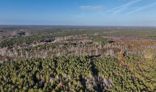 Photo #18 of SOLD property in Off Tuscarora Road, Hollister, NC 290.0 acres