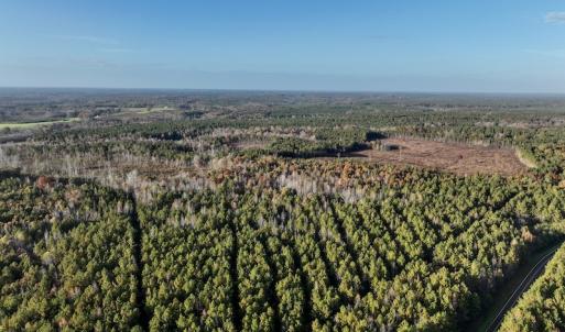 Photo #19 of SOLD property in Off Tuscarora Road, Hollister, NC 290.0 acres