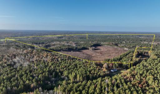 Photo #2 of SOLD property in Off Tuscarora Road, Hollister, NC 290.0 acres