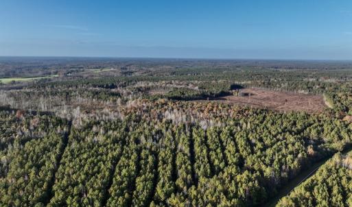 Photo #20 of SOLD property in Off Tuscarora Road, Hollister, NC 290.0 acres
