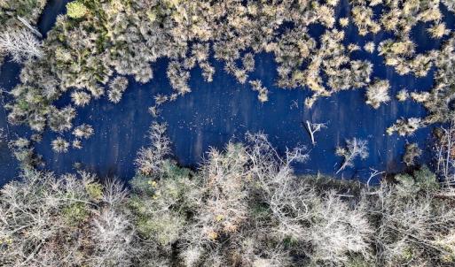 Photo #21 of SOLD property in Off Tuscarora Road, Hollister, NC 290.0 acres