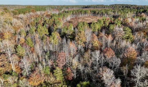 Photo #22 of SOLD property in Off Tuscarora Road, Hollister, NC 290.0 acres