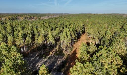 Photo #23 of SOLD property in Off Tuscarora Road, Hollister, NC 290.0 acres