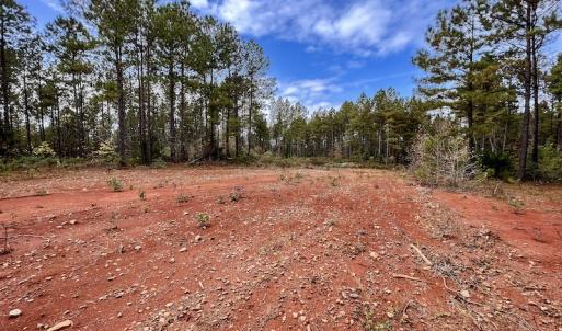 Photo #24 of SOLD property in Off Tuscarora Road, Hollister, NC 290.0 acres