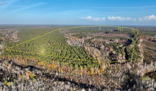 Photo #3 of SOLD property in Off Tuscarora Road, Hollister, NC 290.0 acres
