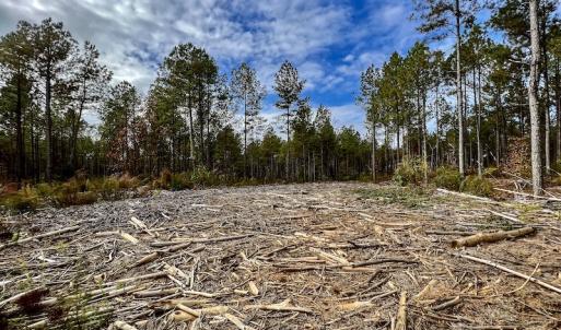Photo #31 of SOLD property in Off Tuscarora Road, Hollister, NC 290.0 acres