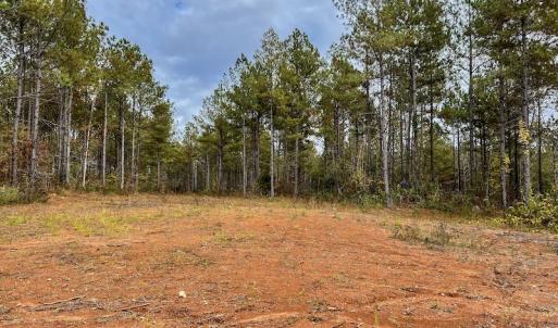 Photo #32 of SOLD property in Off Tuscarora Road, Hollister, NC 290.0 acres