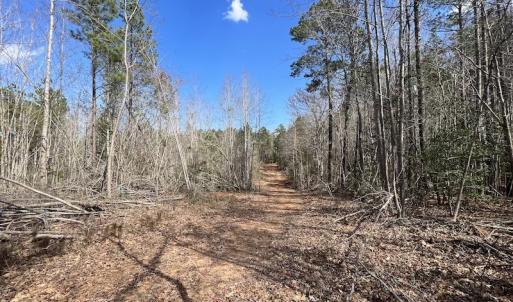 Photo #34 of SOLD property in Off Tuscarora Road, Hollister, NC 290.0 acres