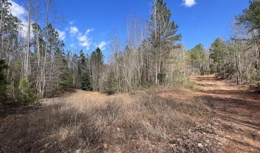Photo #35 of SOLD property in Off Tuscarora Road, Hollister, NC 290.0 acres