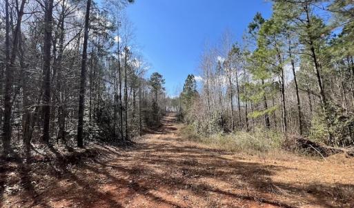 Photo #36 of SOLD property in Off Tuscarora Road, Hollister, NC 290.0 acres