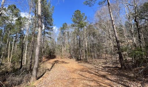 Photo #38 of SOLD property in Off Tuscarora Road, Hollister, NC 290.0 acres