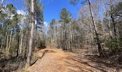 Photo #38 of SOLD property in Off Tuscarora Road, Hollister, NC 290.0 acres