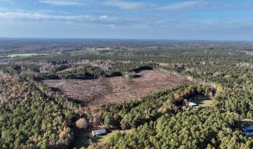 Photo #4 of SOLD property in Off Tuscarora Road, Hollister, NC 290.0 acres